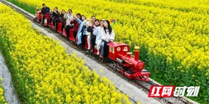 花事未了，福临的“春天”还在盛开