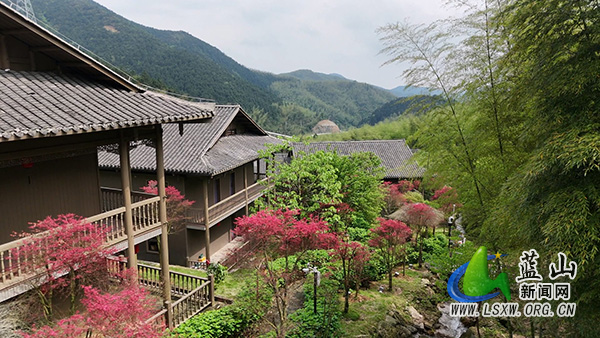 云冰山：四月春“枫”正好 游人纷至沓来1.jpg