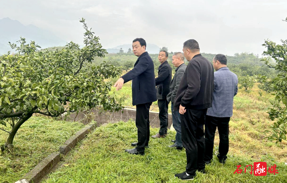 石门县启动2026年畜禽养殖污染地毯式排查1.jpg