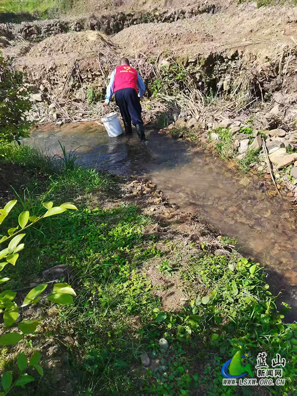 祠堂圩镇：党建引领护碧水 河道保洁焕新颜.jpg