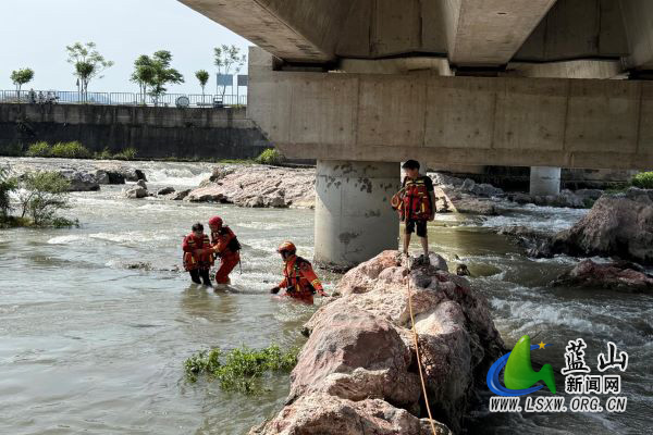 蓝山：少年见义勇为陷险情 消防紧急营救两名被困孩童1.jpg