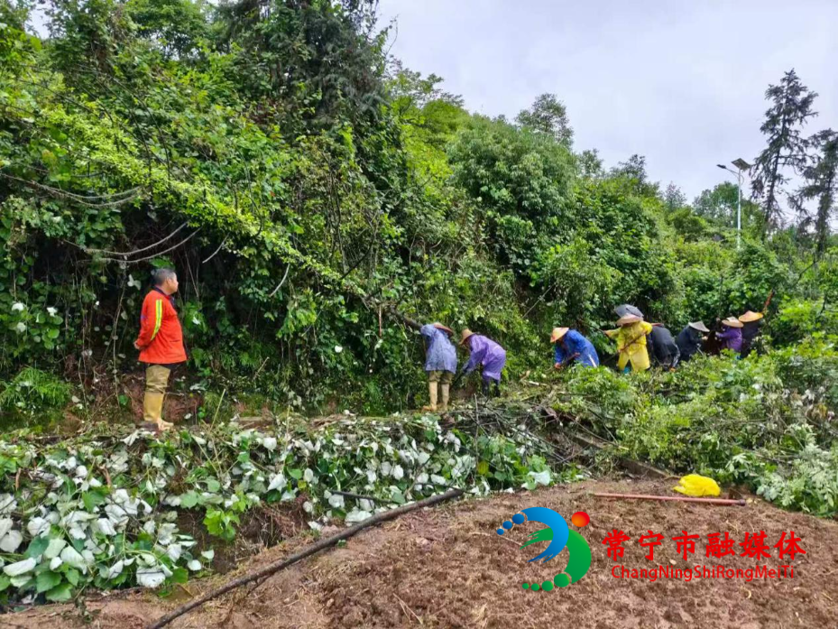 长塘村：冒雨清渠解民忧 长效管护促振兴1.jpg