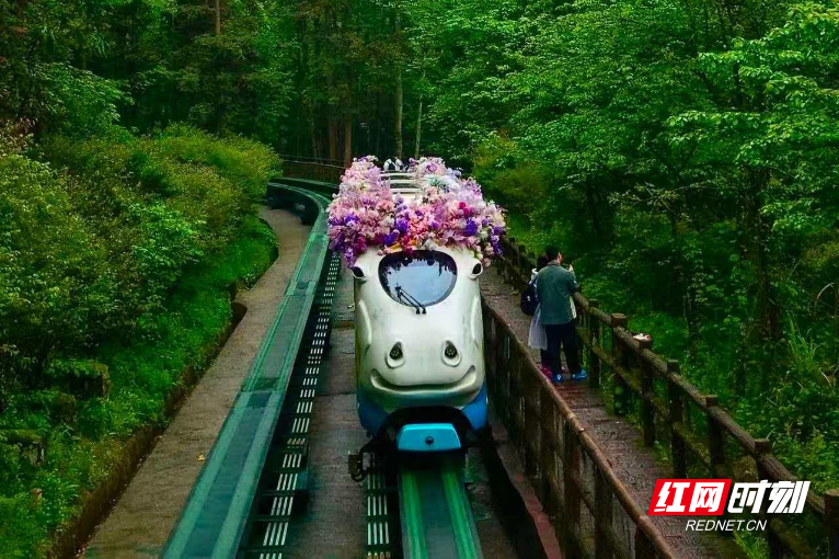 微信图片_20260503160040_2508_214.jpg