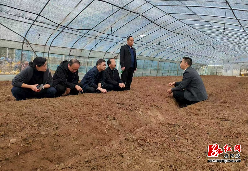 微信图片_20260506102405.jpg