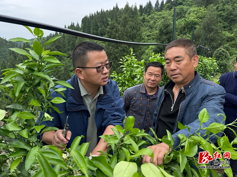 微信图片_20260508155738.jpg