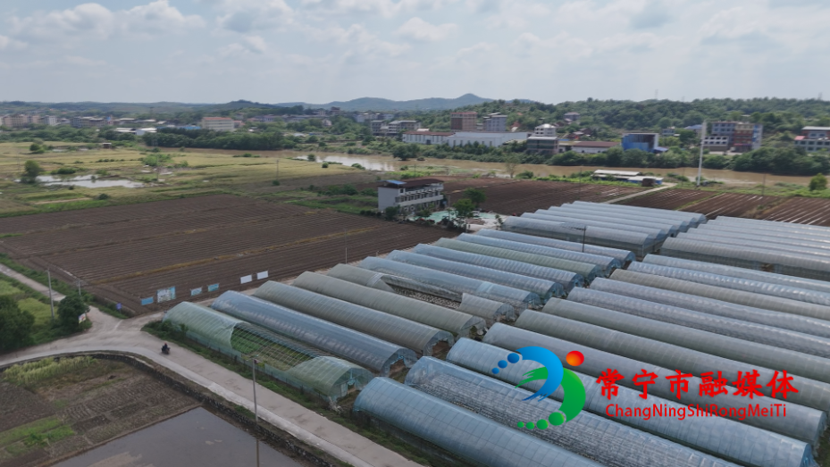 农行 (4).png