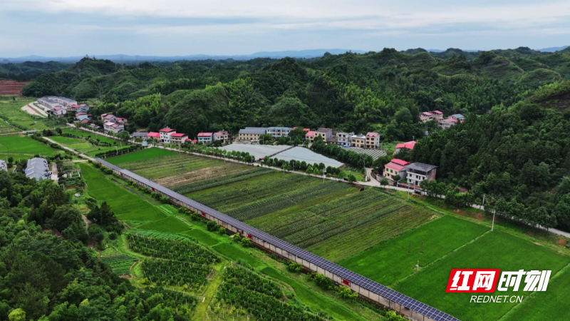 图片3.png