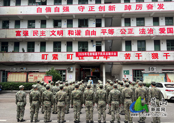 毛俊镇召开2026年度基干民兵点验大会.jpg