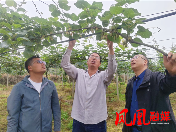 图片4_副本.png
