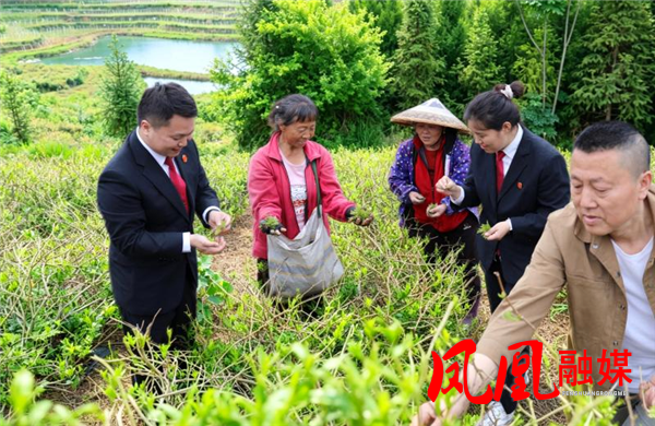 图片5.png 图片5.png