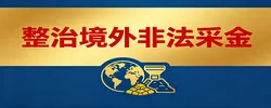 整治境外非法采金