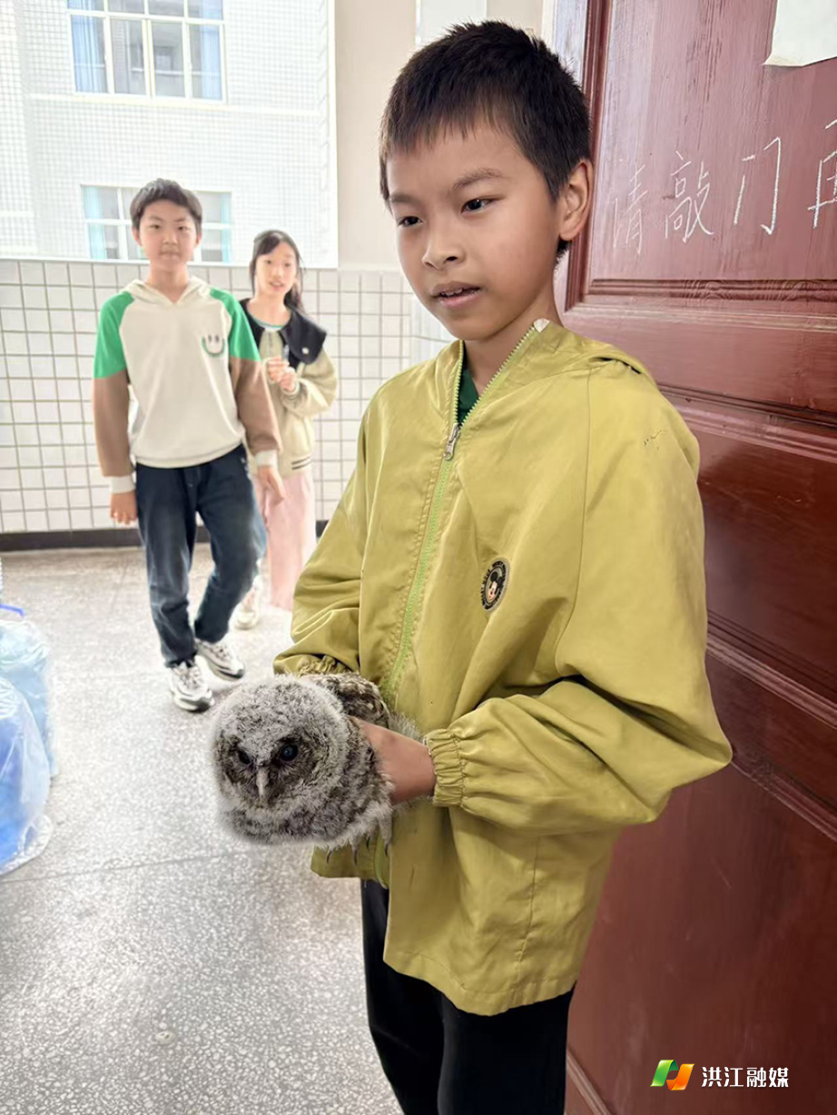 托口镇3.jpg 托口镇3.jpg