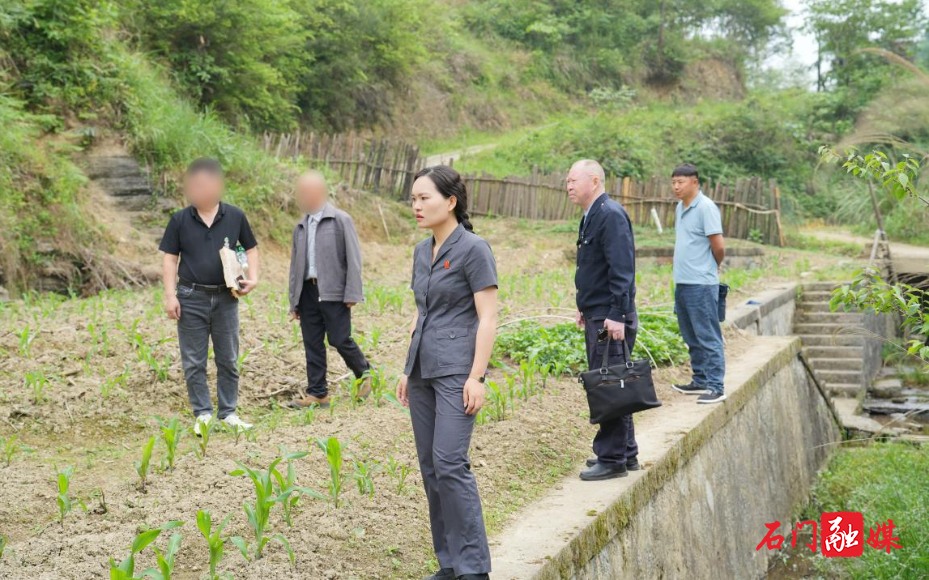 磨市法庭：屋场前巡回审理邻里土地纠纷3.jpg