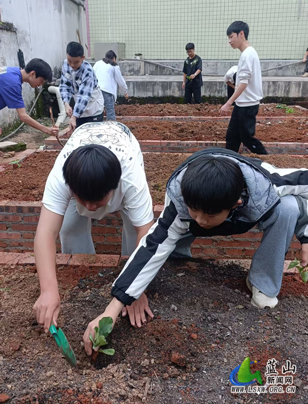 楠市中学开展“校园田埂育新苗 劳动教育促成长”实践活动.jpg