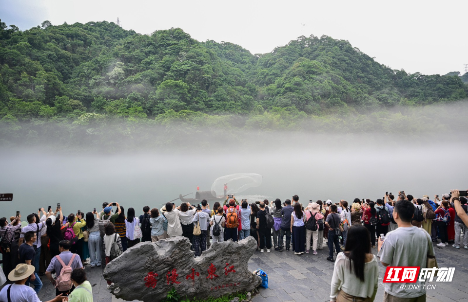 DSC_9880.jpg DSC_9880.jpg
