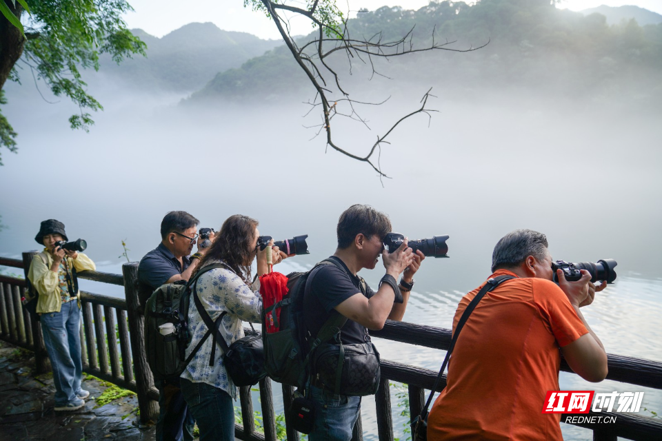 DSC04890袁利华 摄2.jpg DSC04890袁利华 摄2.jpg