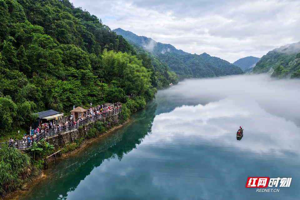 DJI_20260516074518_0081_D.jpg DJI_20260516074518_0081_D.jpg