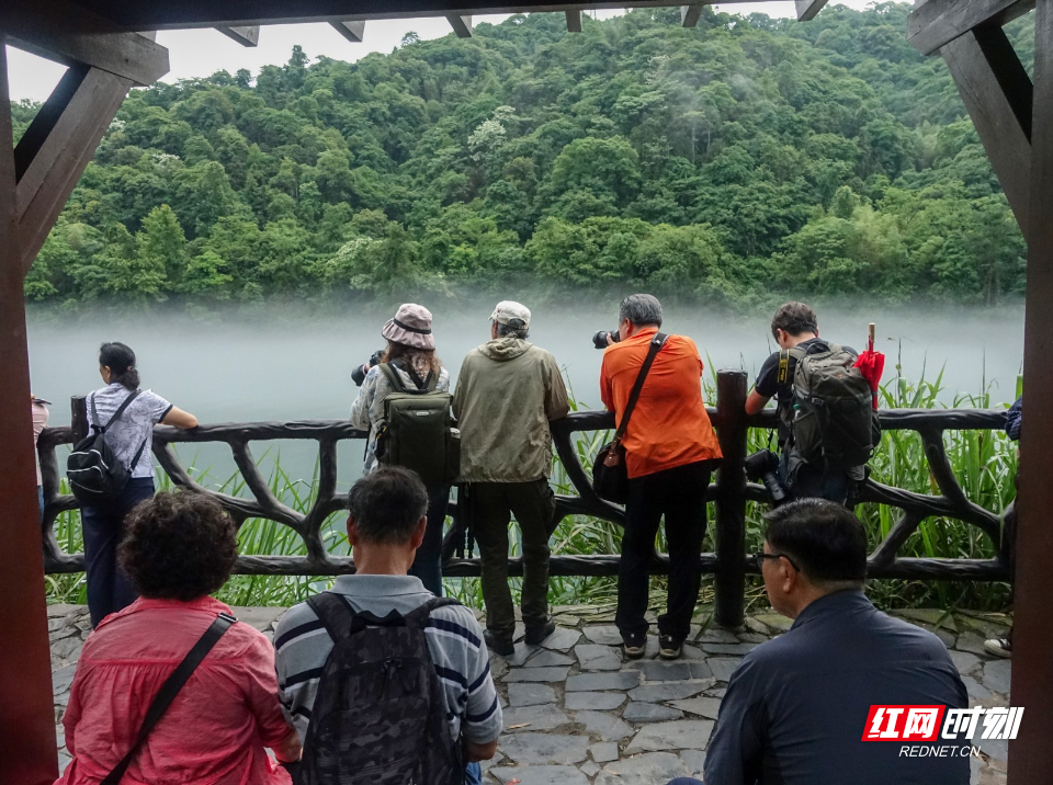 DSC04915袁利华 摄2.jpg DSC04915袁利华 摄2.jpg