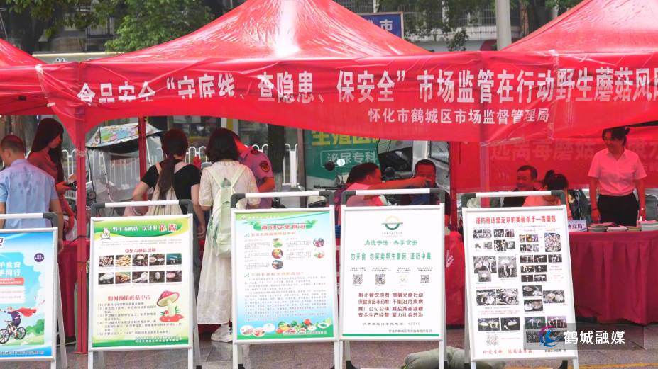毛克文 毒蘑菇宣传.mp4_000011.957.png