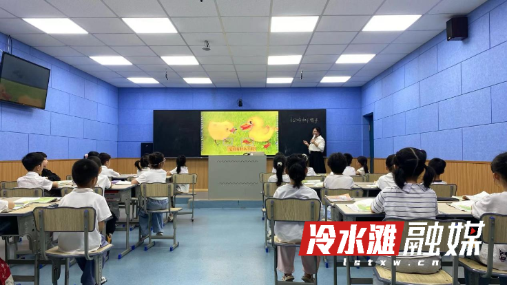 图片6661.png