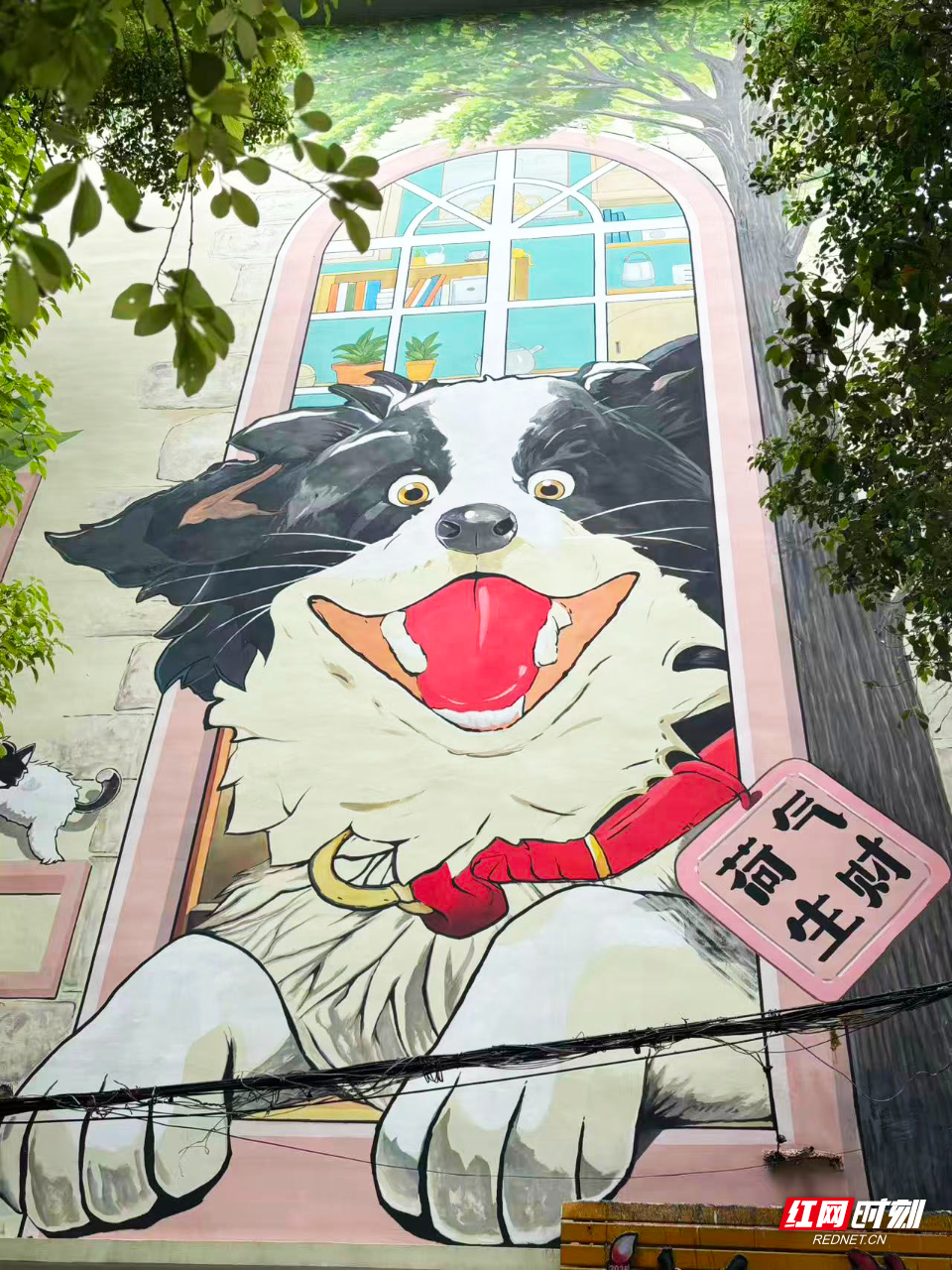 微信图片_20260521155013.jpg 微信图片_20260521155013.jpg