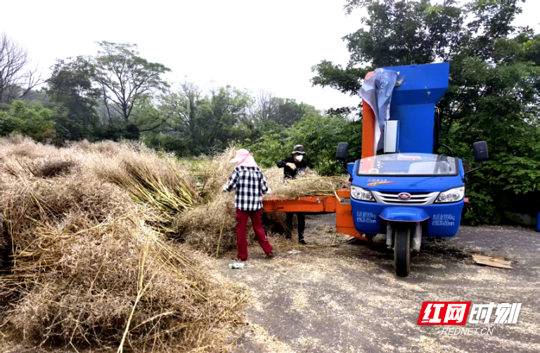 衡州路街道11.jpg 衡州路街道11.jpg