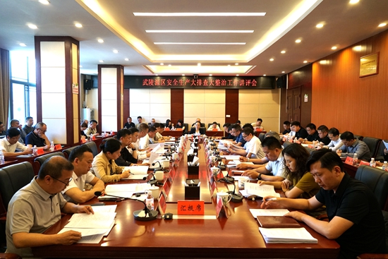 武陵源区召开安全生产大排查大整治工作讲评会