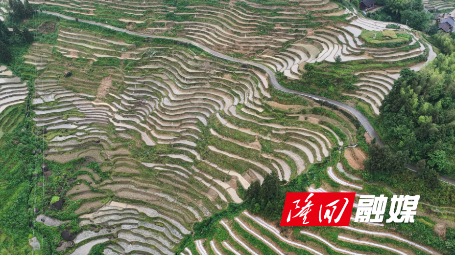DJI_20260522172249_0279_D.MP4.jpg DJI_20260522172249_0279_D.MP4.jpg