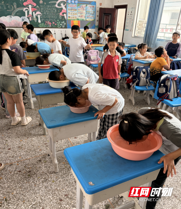 微信图片_20260525103256.png