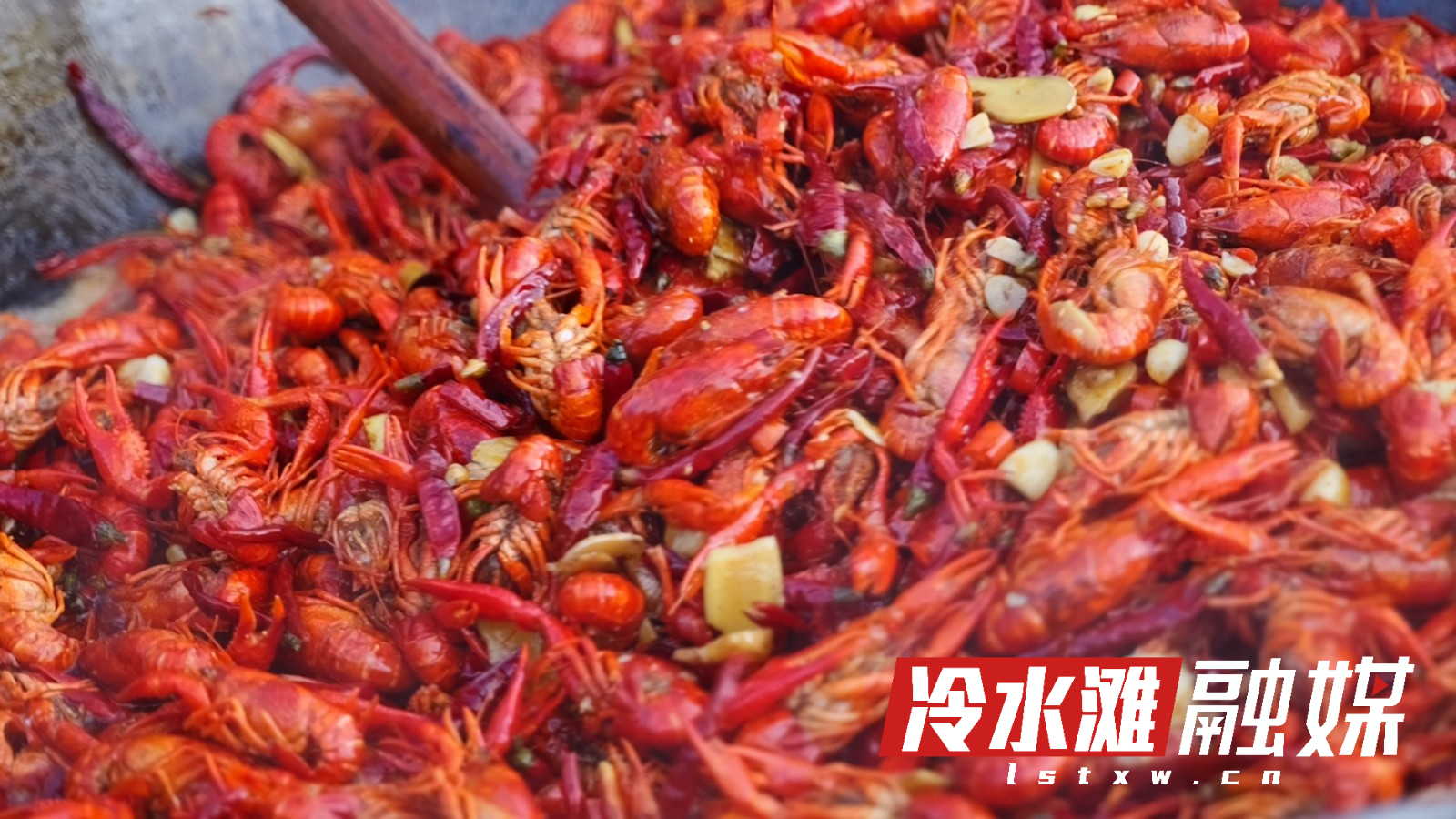 微信图片_2026-05-25_150745_223.jpg