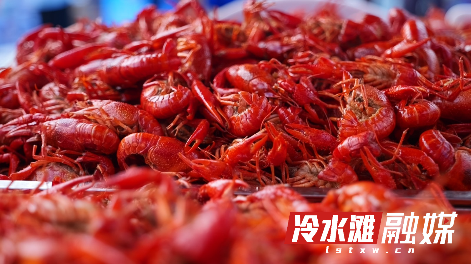 微信图片_2026-05-25_150741_238.jpg