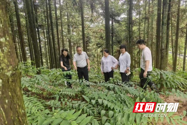 图片 1(8)_副本.jpg 图片 1(8)_副本.jpg