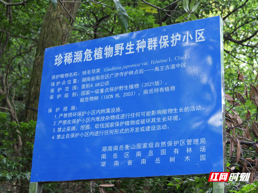 图片7.png 图片7.png