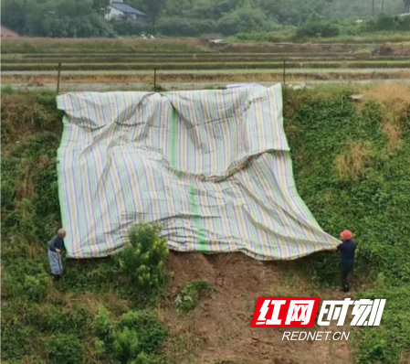 微信图片_20260526105724_1295_8.jpg