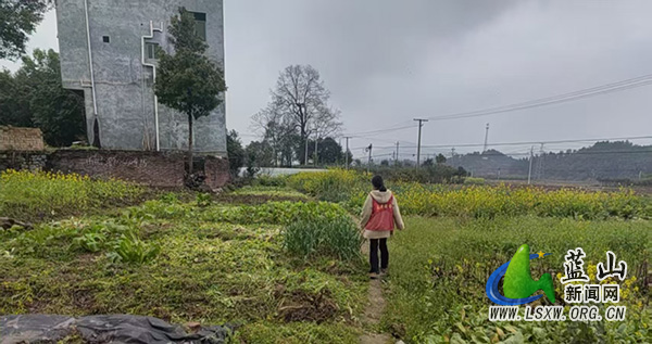 祠堂圩镇开展禁种踏查 筑牢乡村禁毒防线.jpg 祠堂圩镇开展禁种踏查 筑牢乡村禁毒防线.jpg