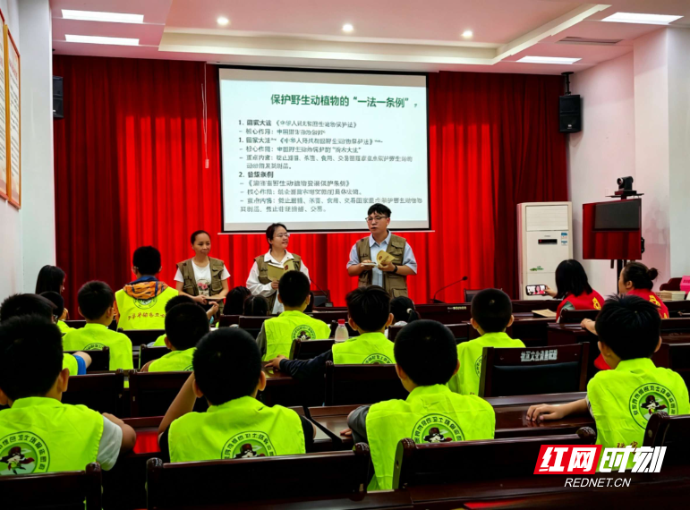微信图片_20260530123703_185_2.jpg 微信图片_20260530123703_185_2.jpg