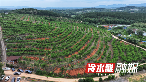 图片3.png 图片3.png
