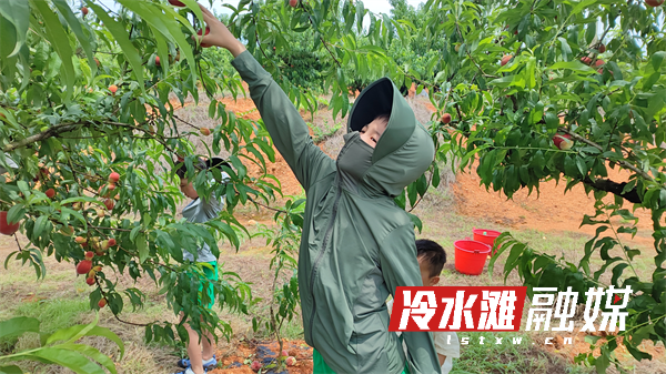 图片4.png 图片4.png