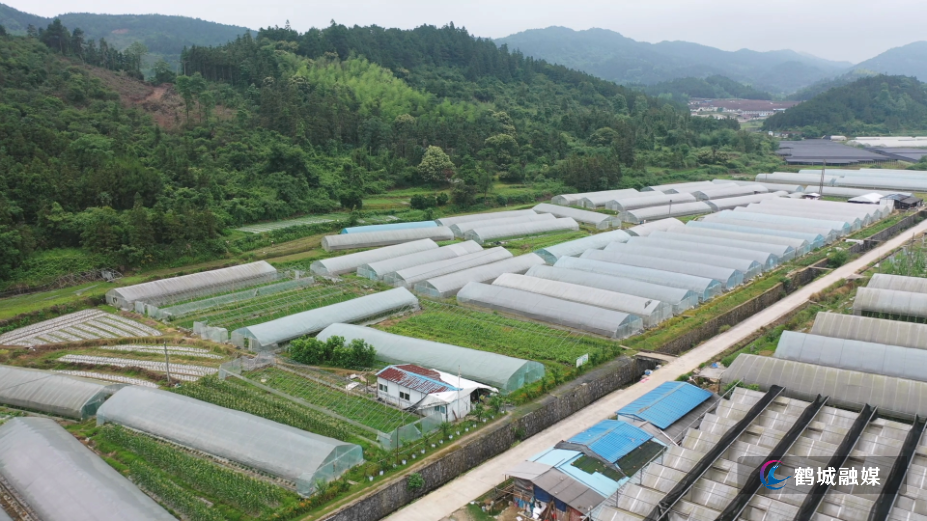 建果生态农业:优质蔬菜进入集中采摘期.mp4_000005.661.png 建果生态农业:优质蔬菜进入集中采摘期.mp4_000005.661.png