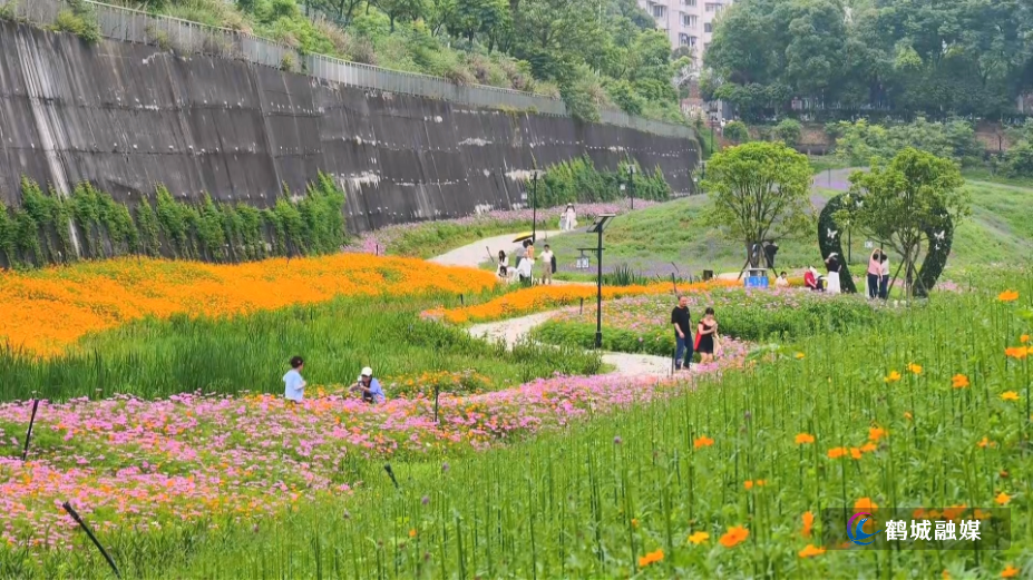 鹤城区:城市公园花海出圈 扮靓城市宜居底色(半成品).mp4_000108.302.png 鹤城区:城市公园花海出圈 扮靓城市宜居底色(半成品).mp4_000108.302.png