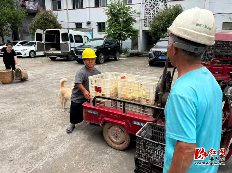微信图片_20260602104622.jpg 微信图片_20260602104622.jpg