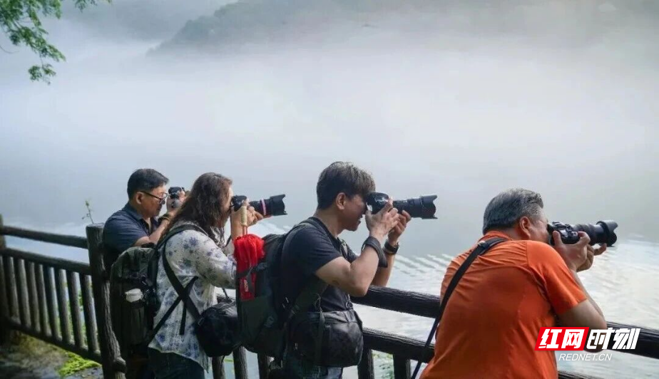 微信图片_2026-06-03_095756_787.jpg