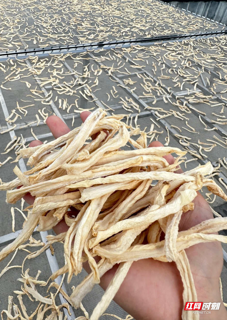 图片 3.jpg