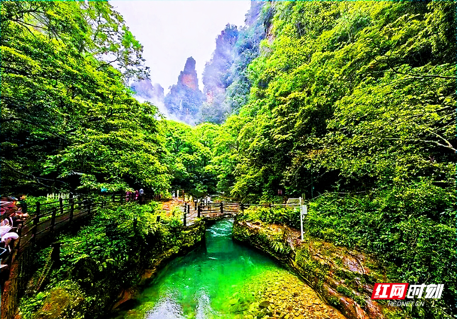 微信图片_20260607124919_1347_112.jpg