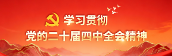 学习贯彻党的二十届四中全会精神
