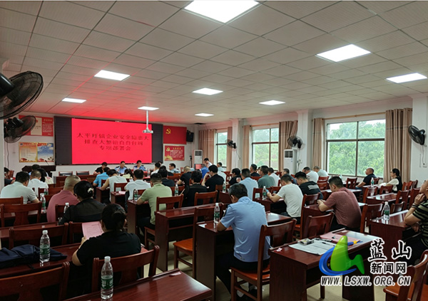 太平圩镇召开企业安全隐患大排查大整治专项部署会.jpg