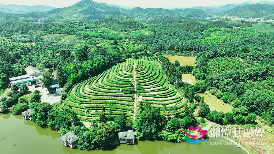 图片1.png 图片1.png