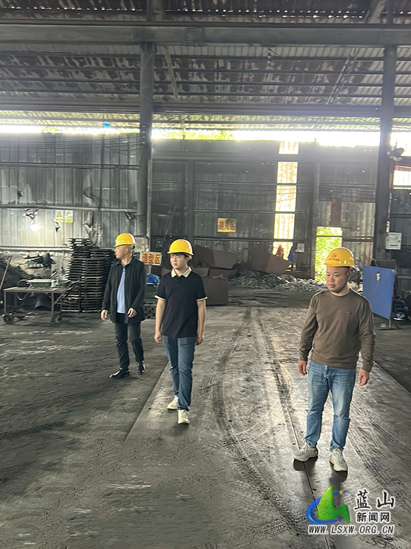 太平圩镇开展铸造企业安全生产专项检查.jpg 太平圩镇开展铸造企业安全生产专项检查.jpg