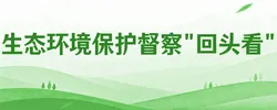 专题 | 生态环境保护督察"回头看"