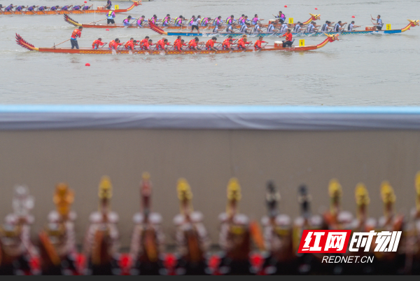 _DSC6388 拷贝.jpg _DSC6388 拷贝.jpg